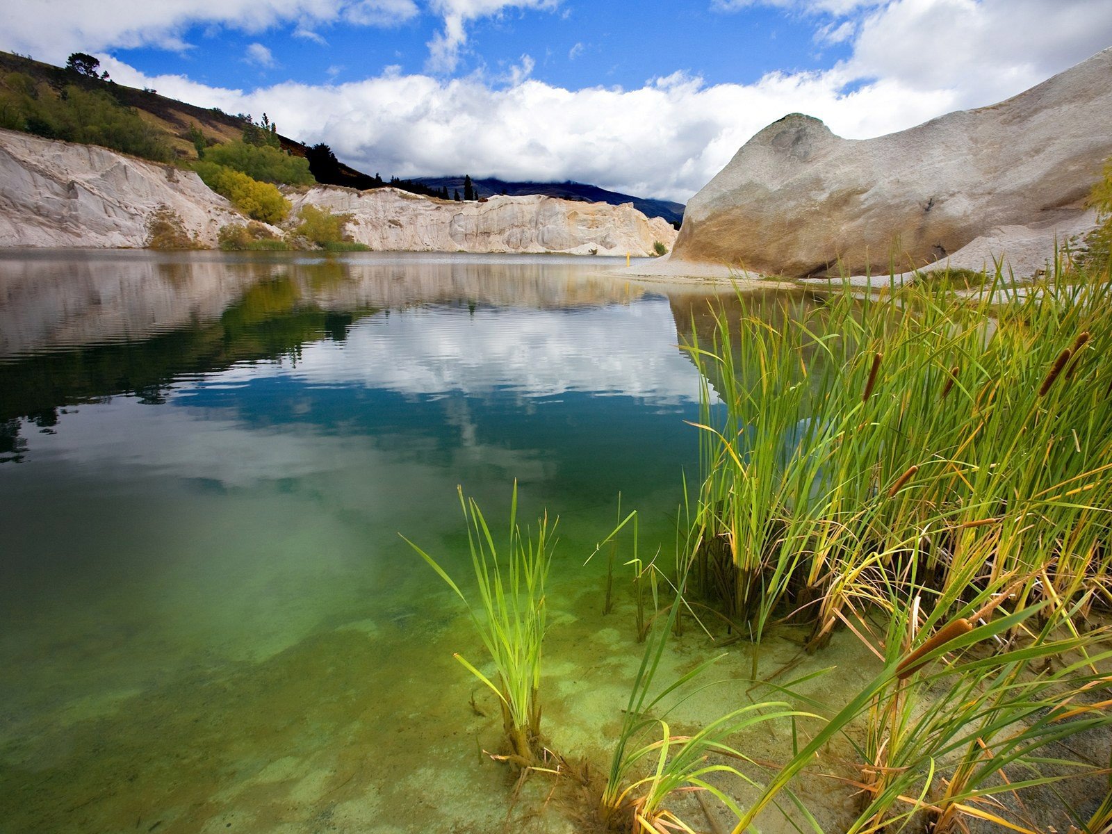 nature Wallpaper