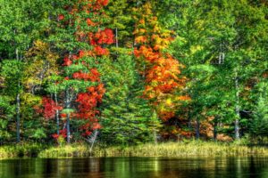 nature, Landscapes, Trees, Forests, Hdr, Autumn, Fall, Seasons, Leaves, Color, Contrast, Shore, Lake, Pond, Rivers, Water, Reflection, Scenic