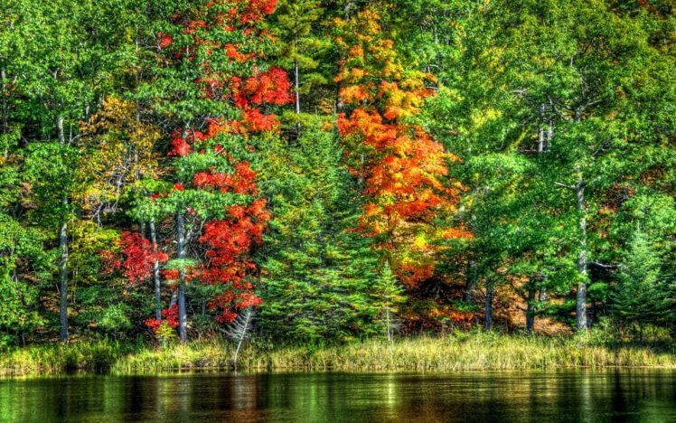nature, Landscapes, Trees, Forests, Hdr, Autumn, Fall, Seasons, Leaves, Color, Contrast, Shore, Lake, Pond, Rivers, Water, Reflection, Scenic HD Wallpaper Desktop Background