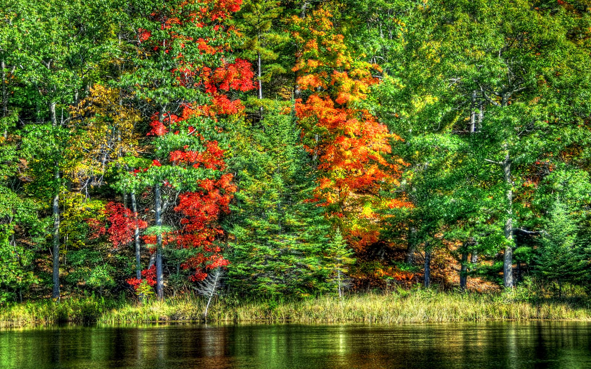nature, Landscapes, Trees, Forests, Hdr, Autumn, Fall, Seasons, Leaves, Color, Contrast, Shore, Lake, Pond, Rivers, Water, Reflection, Scenic Wallpaper