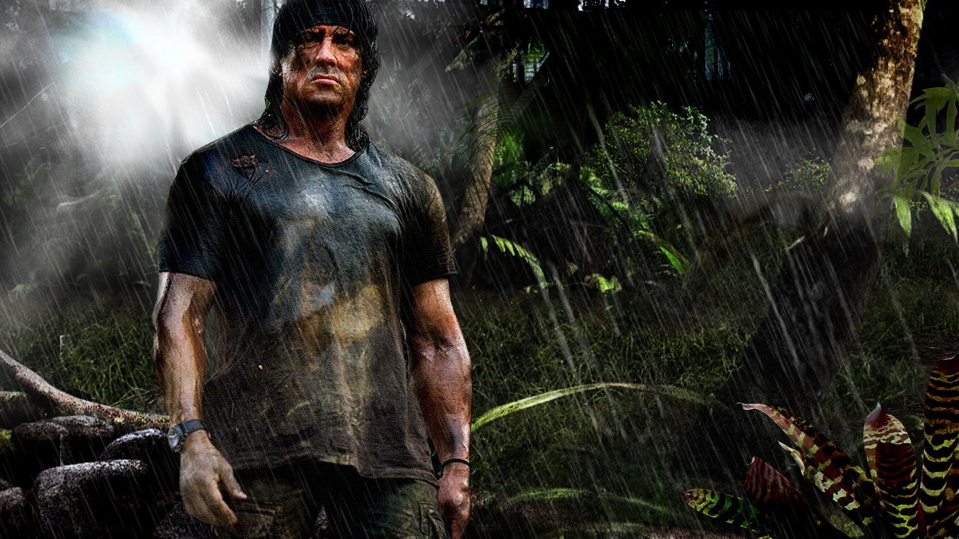 rambo, Action, Adventure, Drama, Movie, Film, Warrior,  21 Wallpaper