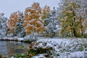 nature, Landscapes, Trees, Forests, Autumn, Fall, Seasons, Winter, Snow, Frost, Shore, Lakes, Grass, Leaves, Cold