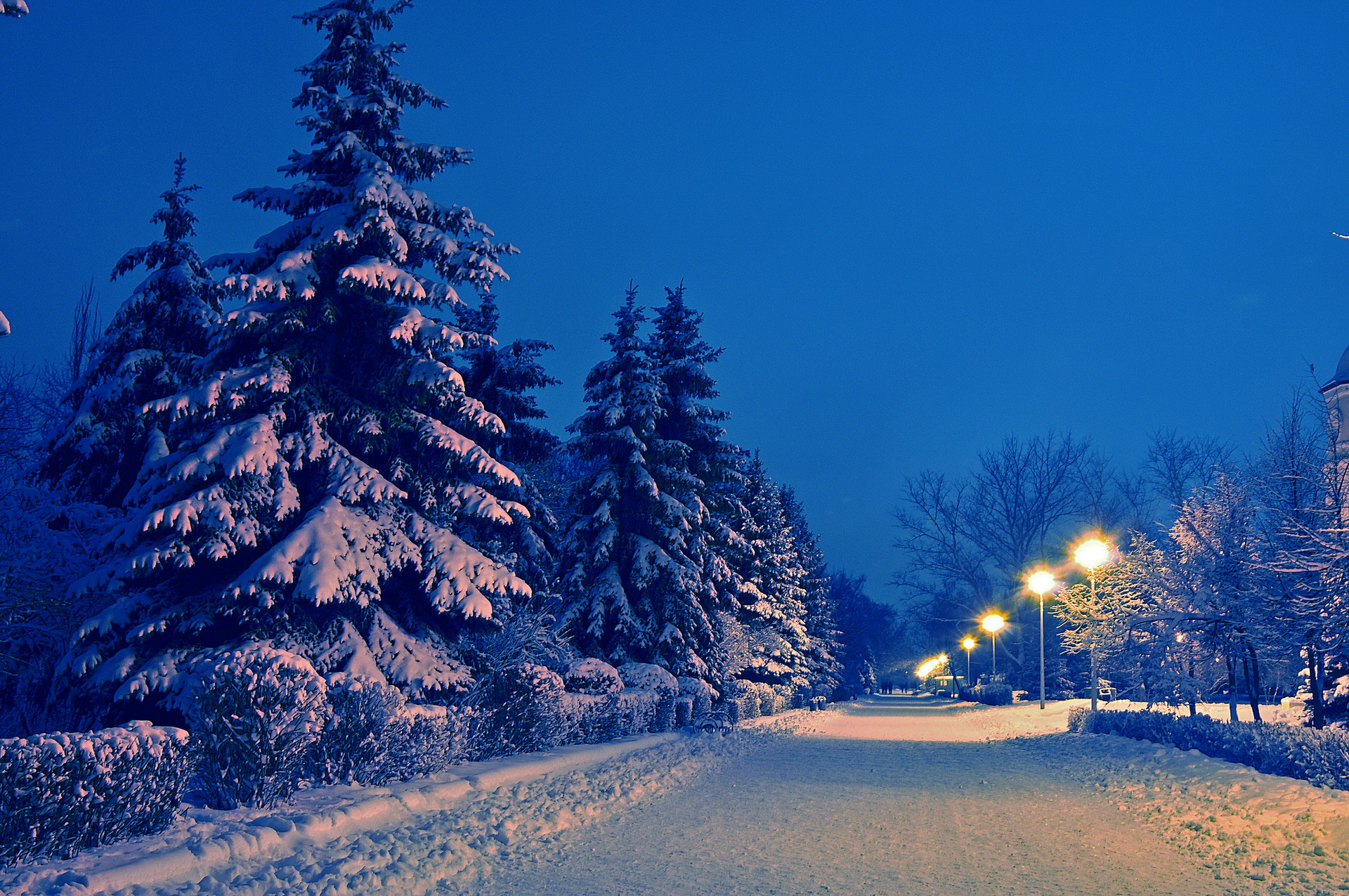 nature, Landscapes, Roads, Path, Park, Garden, Lamp, Posts, Trees, Night, Lights, Winter, Snow, Seasons, Cold Wallpaper