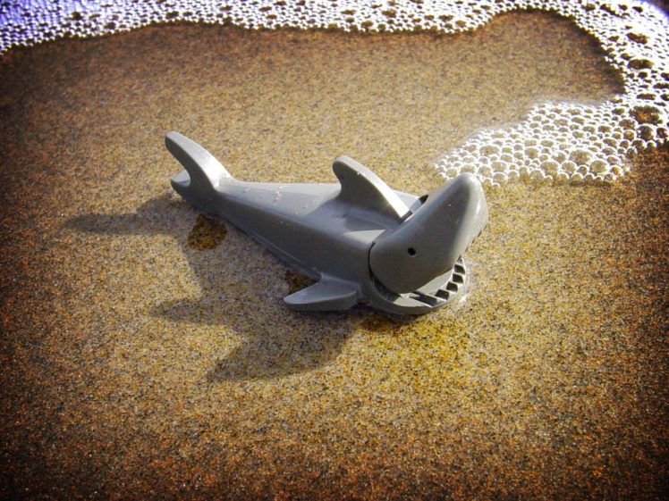 sharks, Legos HD Wallpaper Desktop Background
