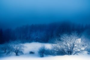 landscapes, Winter, Snow, Trees, Fog, Blue, Skies