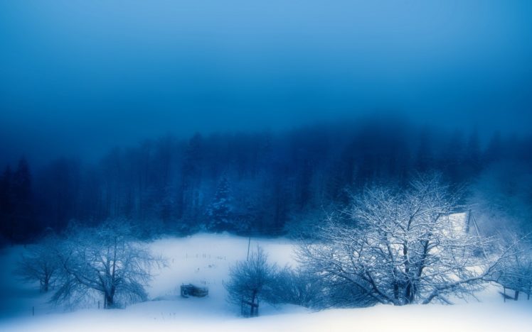 landscapes, Winter, Snow, Trees, Fog, Blue, Skies HD Wallpaper Desktop Background