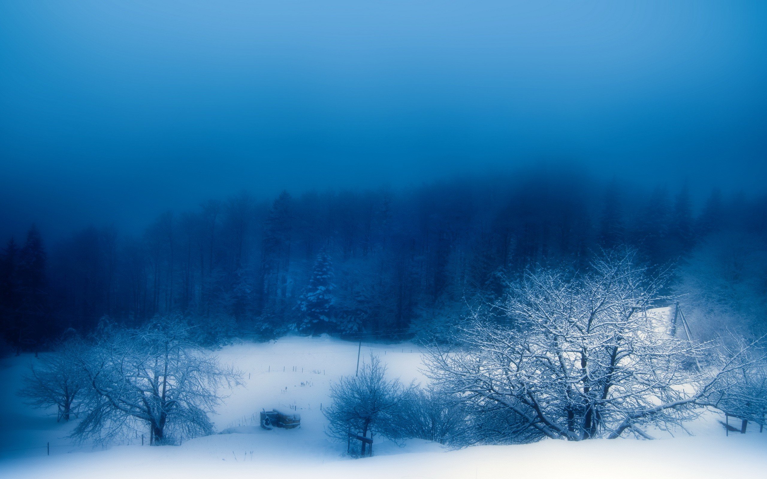 landscapes, Winter, Snow, Trees, Fog, Blue, Skies Wallpaper
