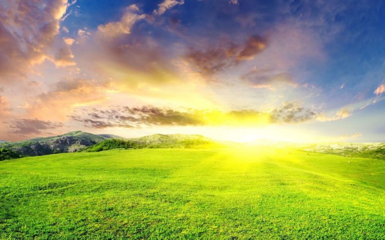 landscapes, Sun, Grass HD Wallpaper Desktop Background
