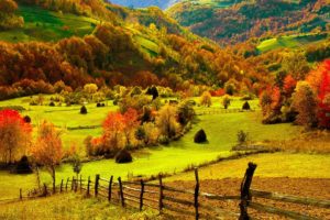 nature, Landscapes, Fields, Hills, Fence, Grass, Farm, Trees, Forests, Autumn, Fall, Seasons, Leaves, Color, Scenic, View, Bright