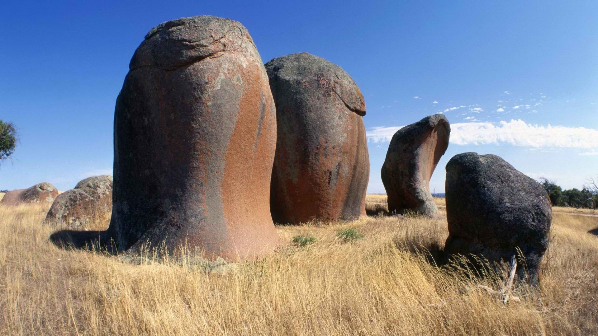 penis, South, Australia Wallpaper