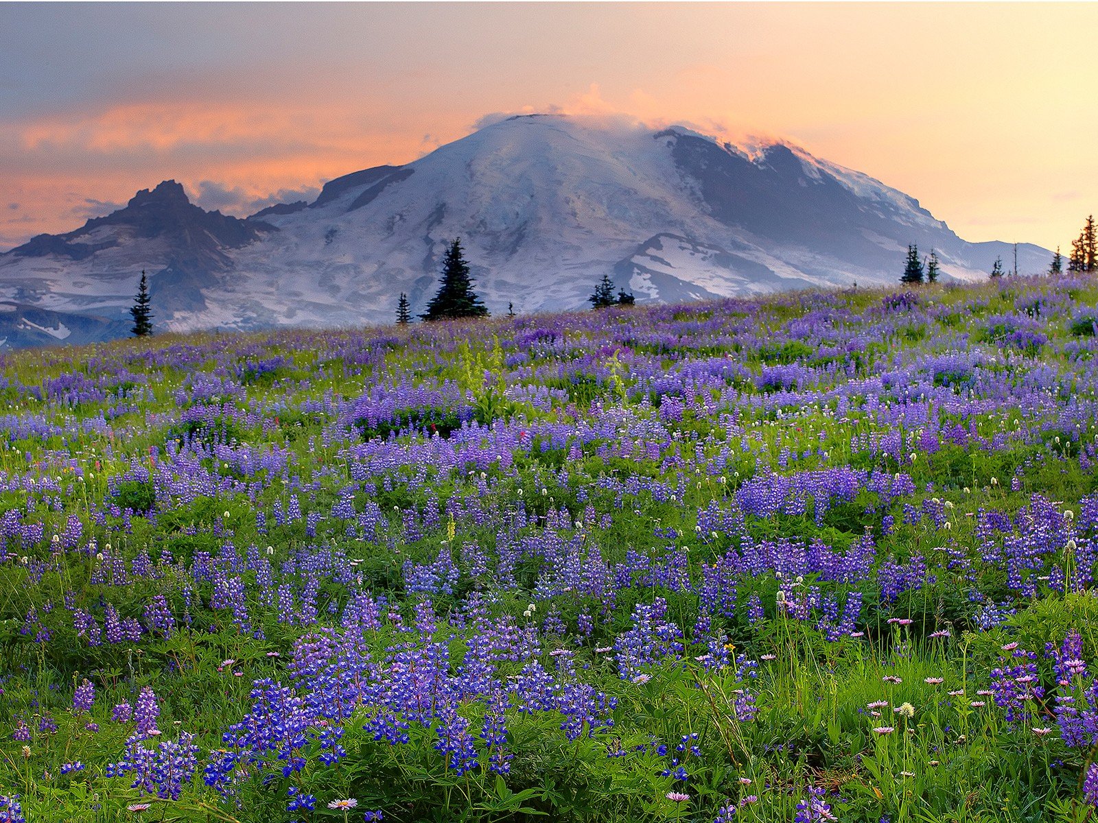 mountains, Nature Wallpaper