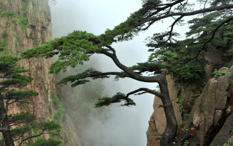 nature, Landscapes, Mountains, Trees, Fog, Mist, Asian, Oriental, Clouds HD Wallpaper Desktop Background