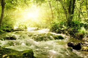 nature, Landscapes, Trees, Forests, Rivers, Streams, Water, Rapids, Drops, Waves, Rocks, Bank, Shore, Spring, Summer, Sunlight, Sun, Beam, Bright, Green
