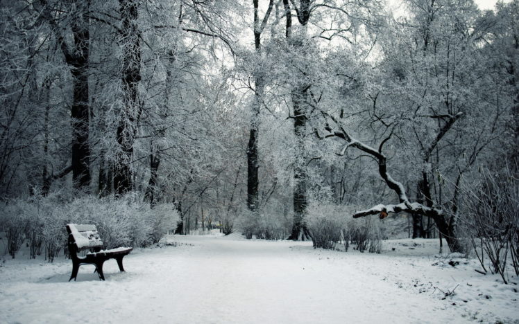 nature, Landscapes, Park, Garden, Trees, Forests, Winter, Snow, Seasons, Bench, Cold HD Wallpaper Desktop Background