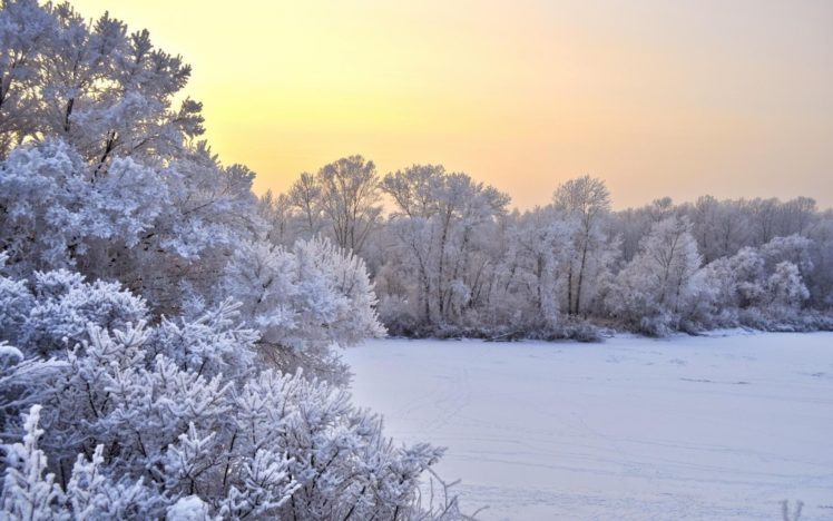 nature, Landscapes, Fields, Trees, Meadow, Winter, Snow, Seasons, Sky, Sunset, Sunrise HD Wallpaper Desktop Background