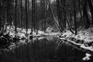 black, White, Monochrome, Nature, Landscapes, Trees, Forests, Rivers, Streams, Water, Reflection, Dark, Winter, Snow, Seasons
