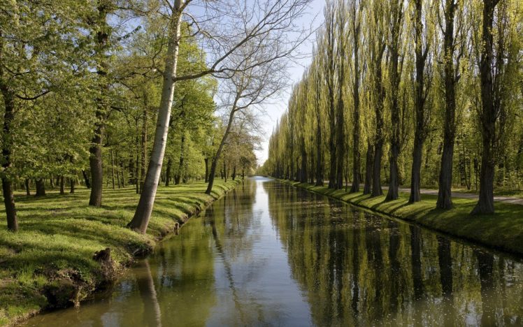 trees, Forests, Canal HD Wallpaper Desktop Background