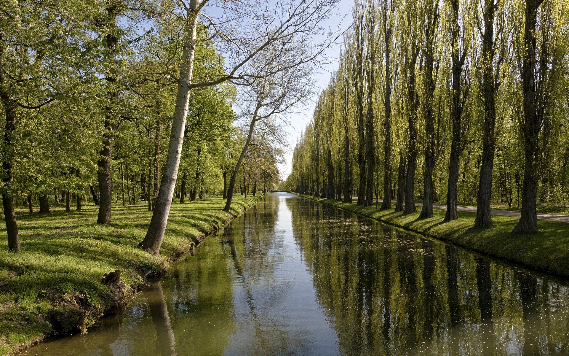 trees, Forests, Canal Wallpaper