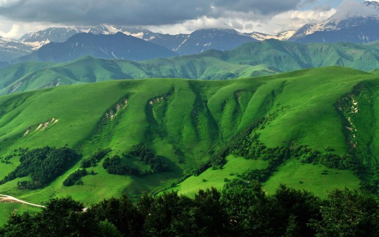 mountains, Landscapes, Forests HD Wallpaper Desktop Background