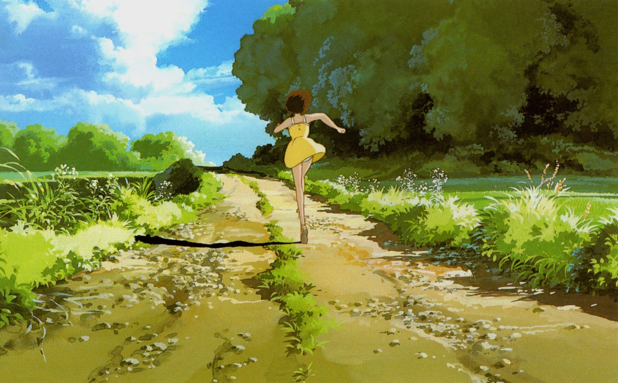paths, My, Neighbour, Totoro, Running, Yellow, Dress Wallpaper
