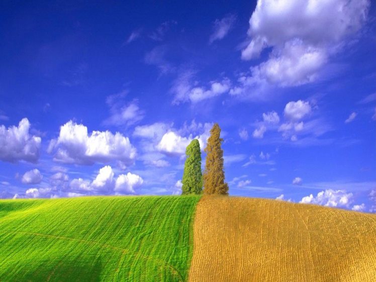 clouds, Landscapes, Nature, Trees HD Wallpaper Desktop Background