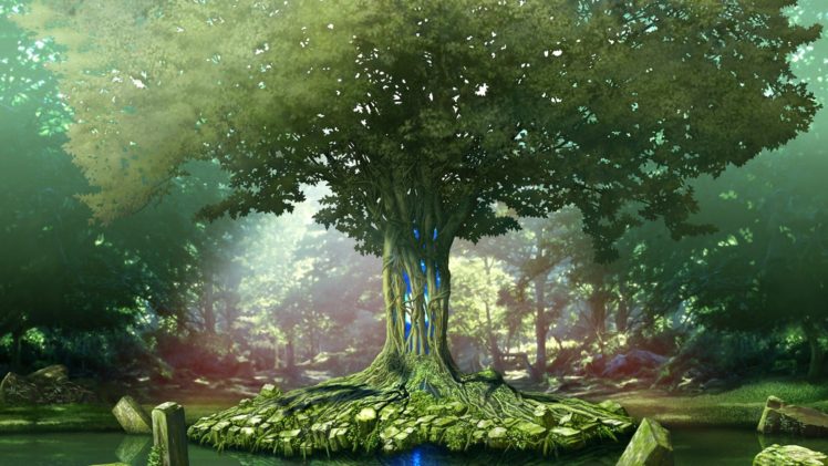 trees HD Wallpaper Desktop Background