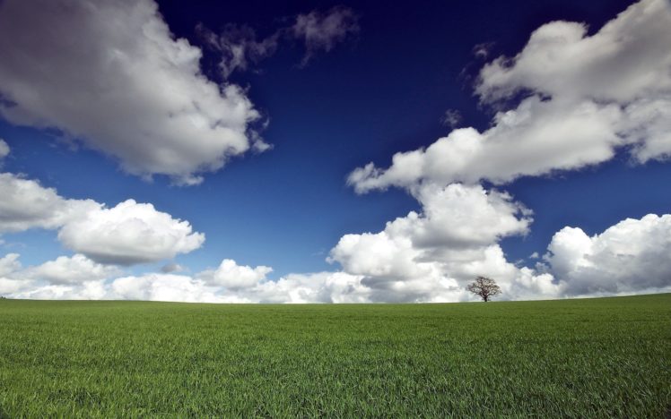 clouds, Nature, Grass, Pole HD Wallpaper Desktop Background