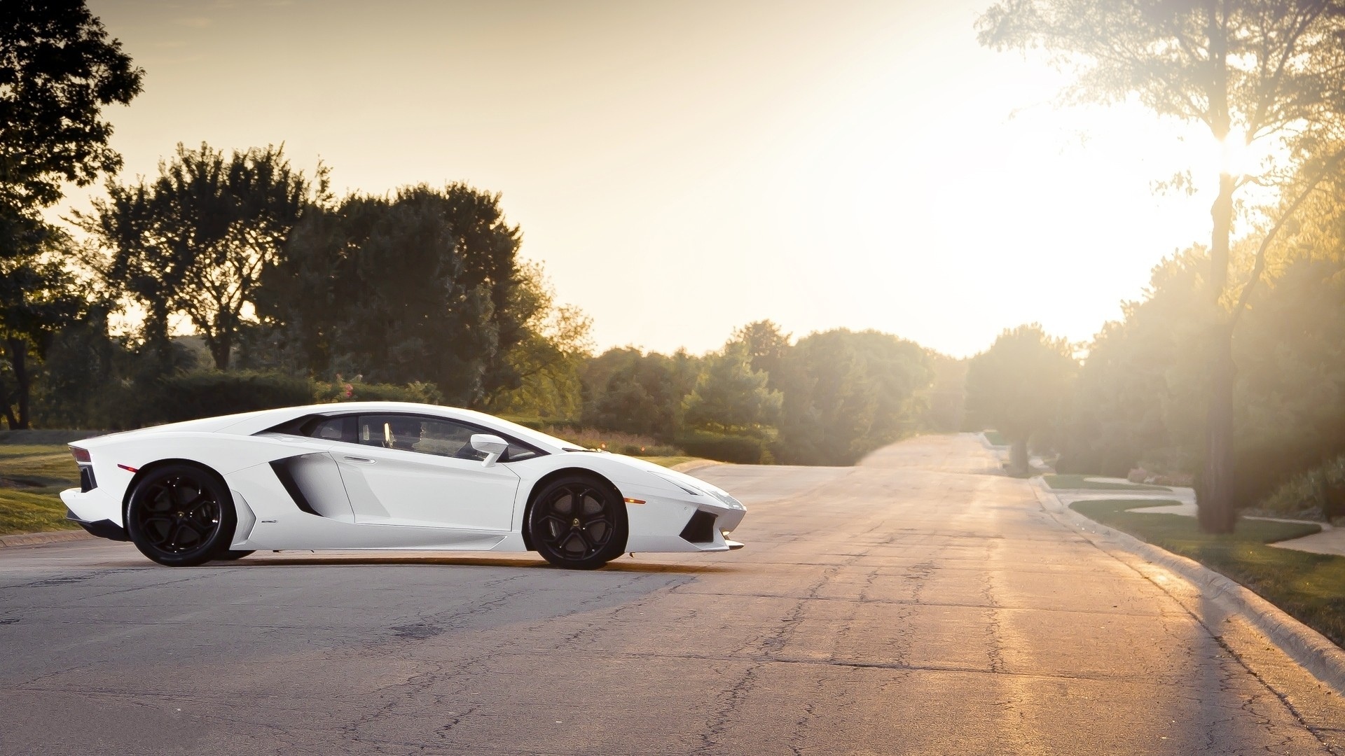 lamborghini, Vehicles, Cars, Auto, Roads, Sunlight, Trees, Track, Wheels, Exotic, Supercar Wallpaper
