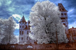 nature, Romania, Dracula, Transylvania, Bran, Castle