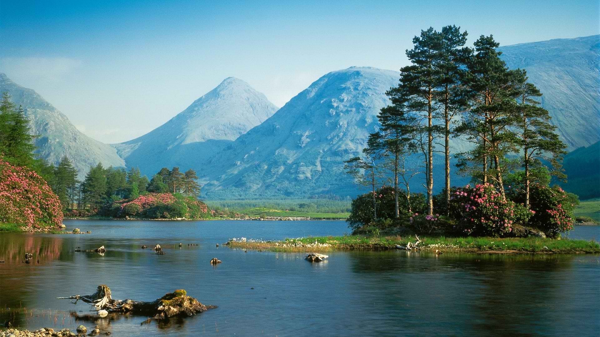 mountains, Landscapes, Nature, Trees, Hills, Scotland Wallpaper
