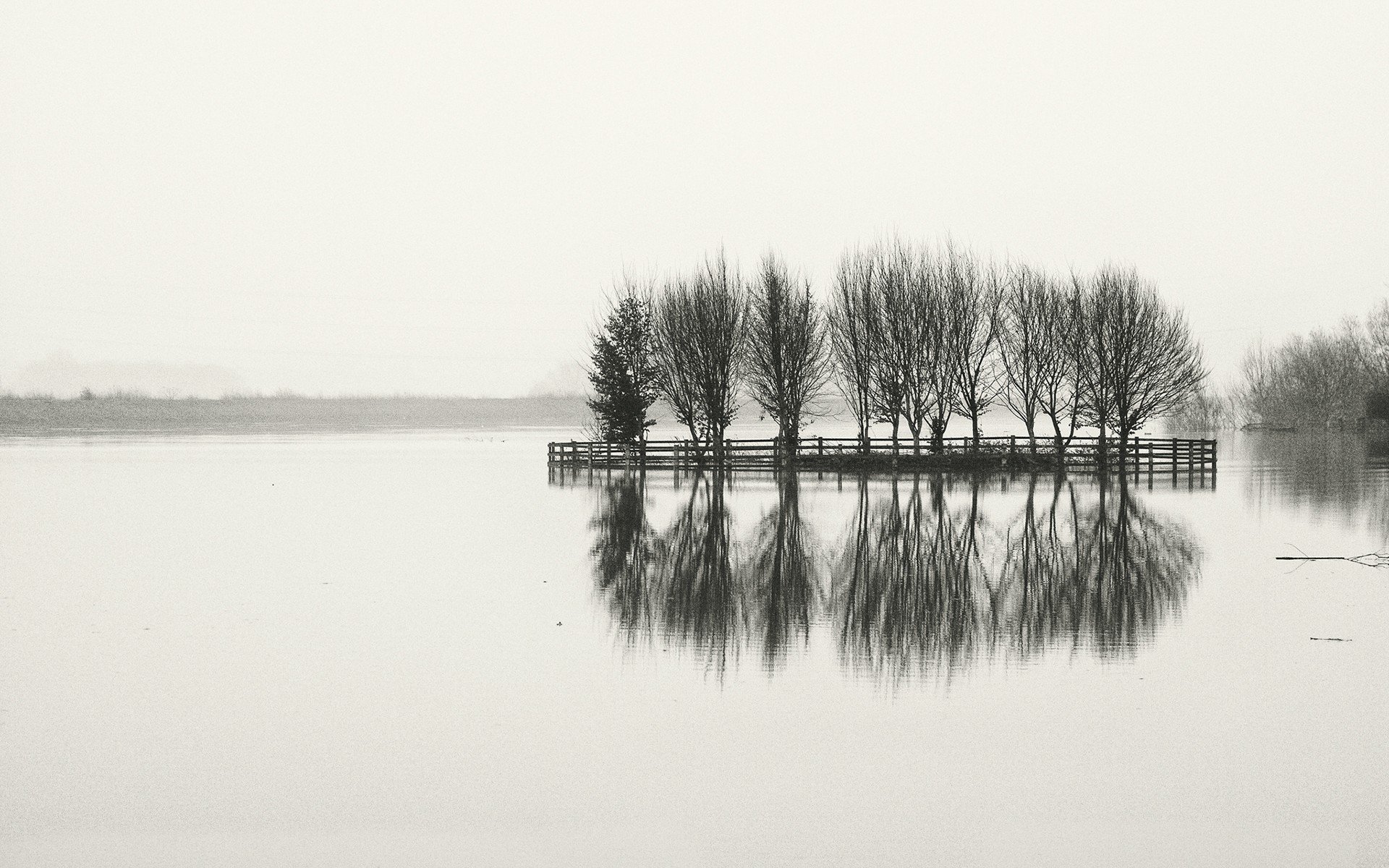 trees, Lakes Wallpaper