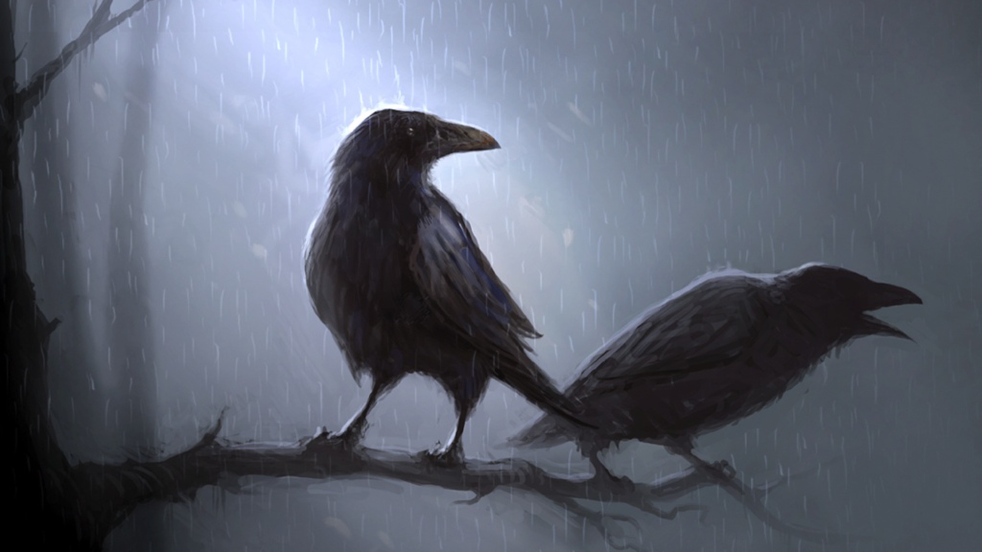 animals, Birds, Crows, Ravens, Poe, Storm, Rain, Trees, Forest, Moon, Moonlight, Art, Artistic, Mood Wallpaper