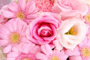 nature, Flowers, Bouquet, Pink, Petals, Wedding, Holiday
