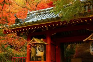 japanese, Asian, Oriental, Architecture, Buildings, Houses, Wood, Teak, Artistic, Roof, Tiles, Nature, Trees, Forest, Autumn, Fall, Seasons, Leaves, Color