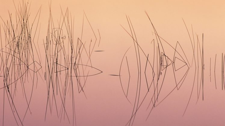 nature, Lakes, Water, Pond, Reflection, Sunrise, Sunset, Grass, Reeds HD Wallpaper Desktop Background