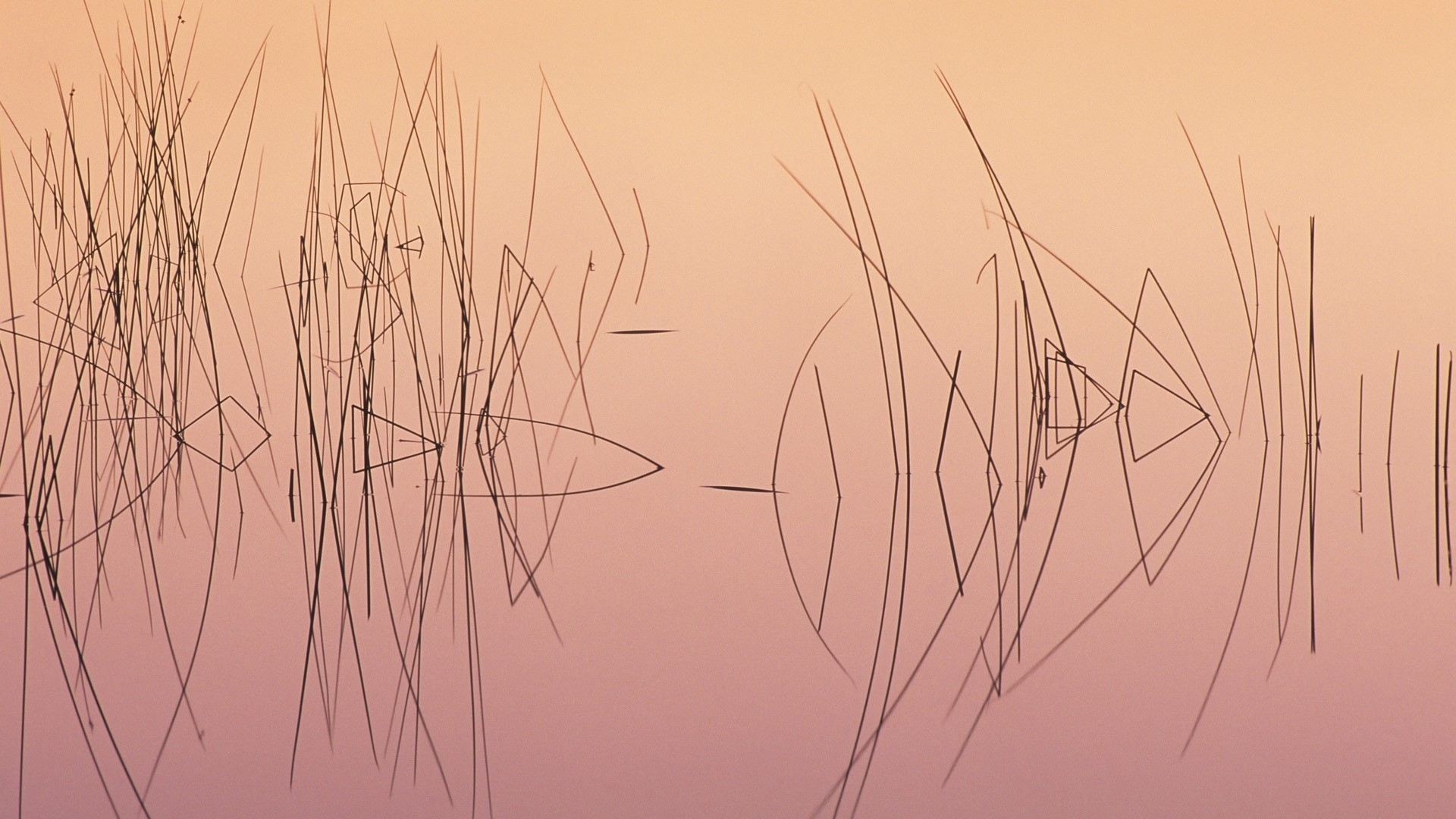 nature, Lakes, Water, Pond, Reflection, Sunrise, Sunset, Grass, Reeds Wallpaper