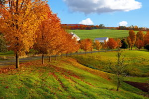nature, Landscapes, Autumn, Fall, Seasons, Leaves, Fields, Grass, Roads, Fence, Farm, Architecture, Buildings, Houses, Barn, Sky, Clouds, Hills, Color