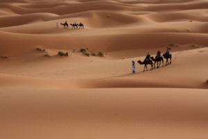 nature, Landscapes, Desert, Dune, Sand, People, Travel, Photography, Plants