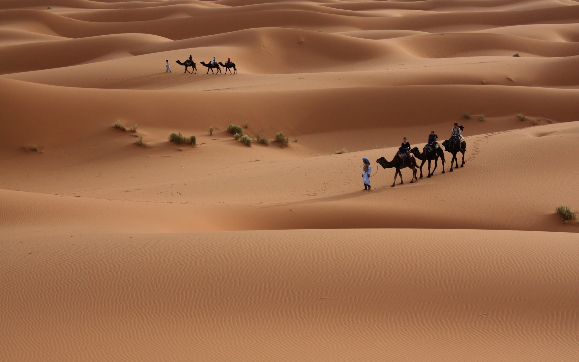 nature, Landscapes, Desert, Dune, Sand, People, Travel, Photography, Plants Wallpaper