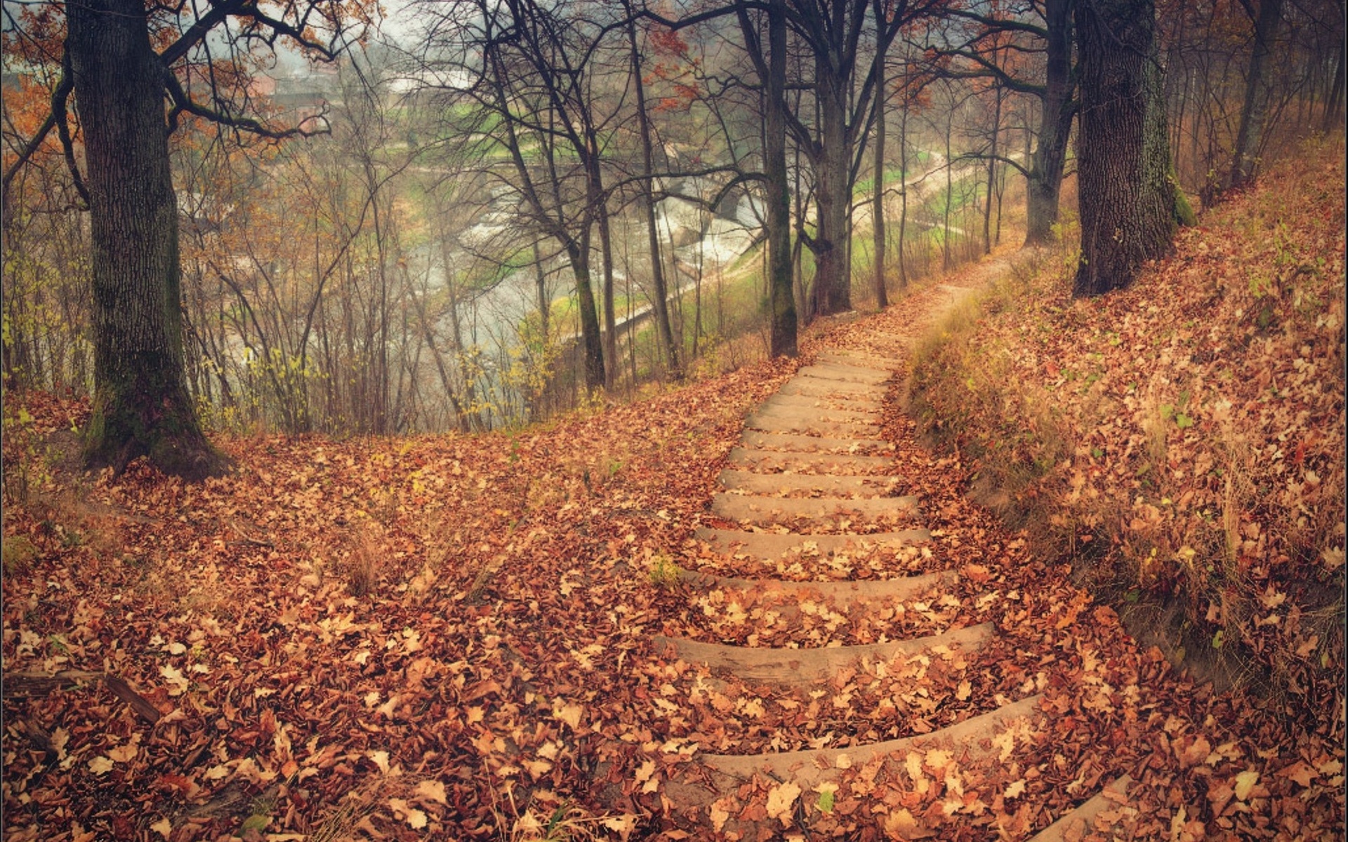 nature, Landscapes, Trees, Forest, Path, Stairs, Tracks, Roads, Leaves, Autumn, Fall, Seasons, Hill Wallpaper