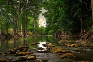 nature, Landscapes, Swamp, Rivers, Water, Trees, Forest, Jungle, Reflection, Rocks, Sky, Clouds, Leaves