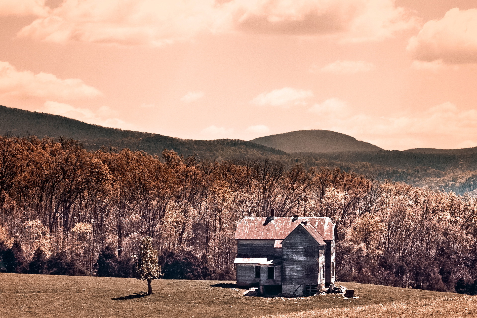 sepia, Ruins, Decay, Abandoned, Wreck, Architecture, Buildings, Houses, Fields, Farm, Trees, Forest, Leves, Autumn, Fall, Seasons, Hill, Mountains, Sky, Clouds, Sunlight Wallpaper