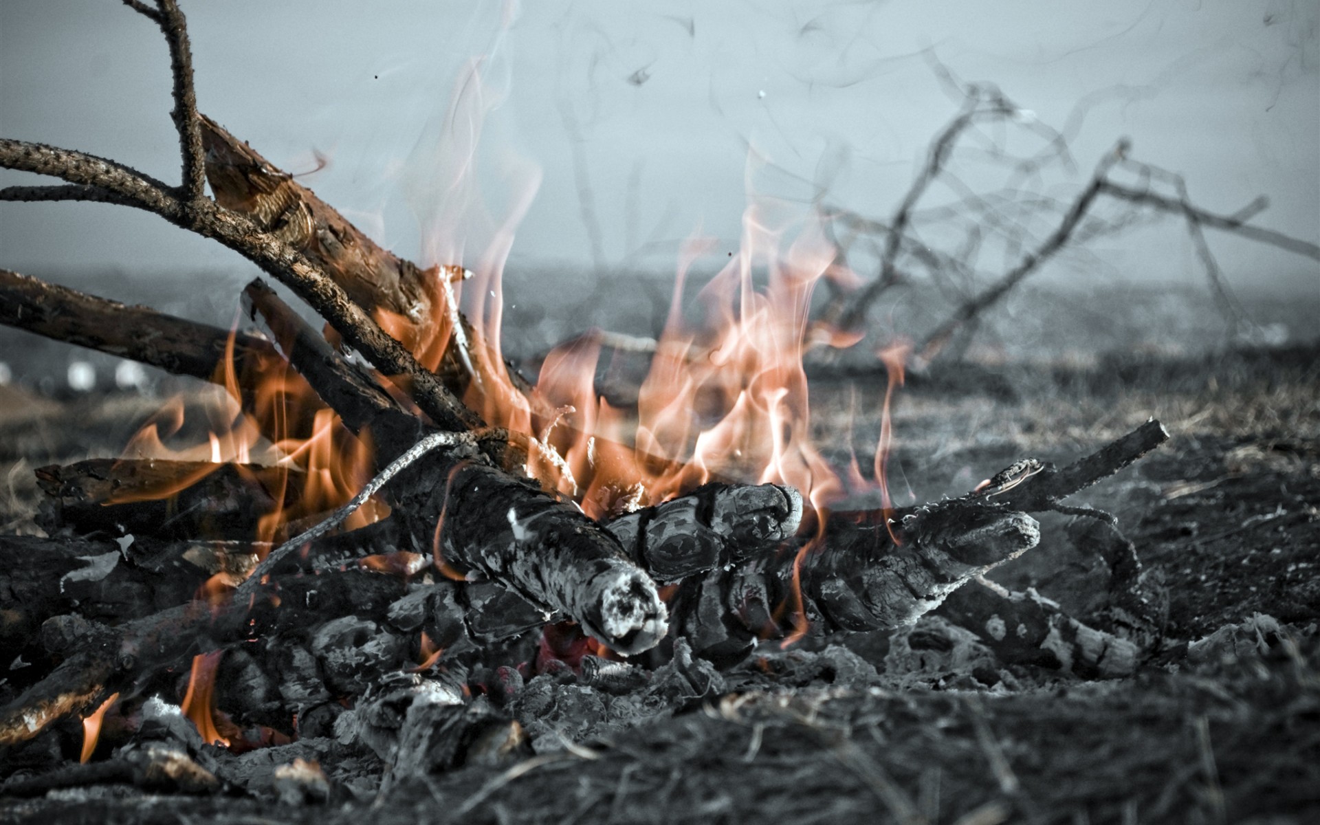 nature, Landscapes, Fire, Flames, Photography, Wood, Fields, Coals, Grass, Sky, Heat Wallpaper