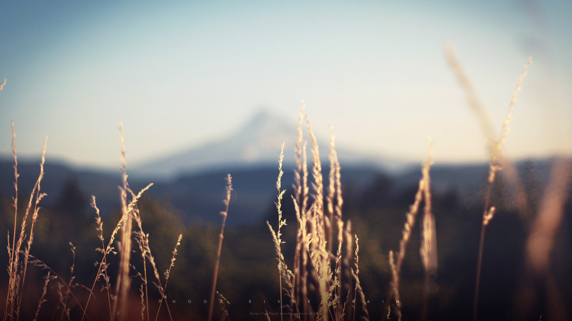 landscapes, Nature, Fields Wallpaper