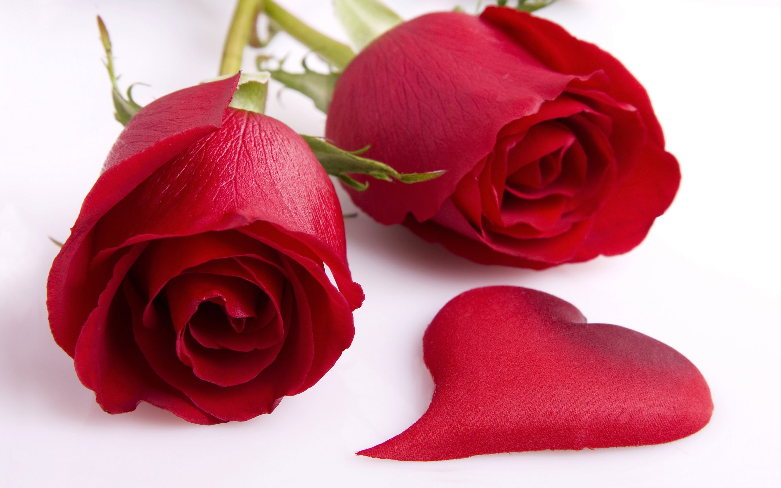flowers, Hearts, Roses, Red, Flowers Wallpaper