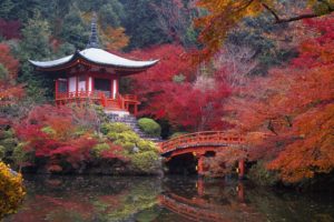 japan, Autumn, Garden, Bridges, Kyoto, Lakes, Maple