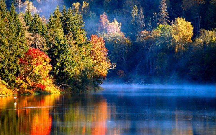 nature, Landscapes, Rivers, Lakes, Water, Reflection, Autumn, Fall, Seasons, Trees, Forest, Fog, Mist, Haze, Sunlight, Sunrise, Sunset HD Wallpaper Desktop Background