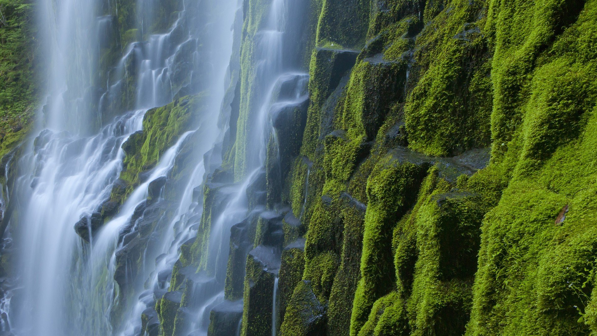 mountains, Oregon, Waterfalls, Proxy Wallpaper
