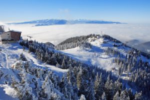 nature, Landscapes, Mountains, Ski, Resort, Tram, Lift, Wires, Vehicles, Trees, Forest, Winter, Snow, Seasons, Sky, Clouds, Scenic, Fog