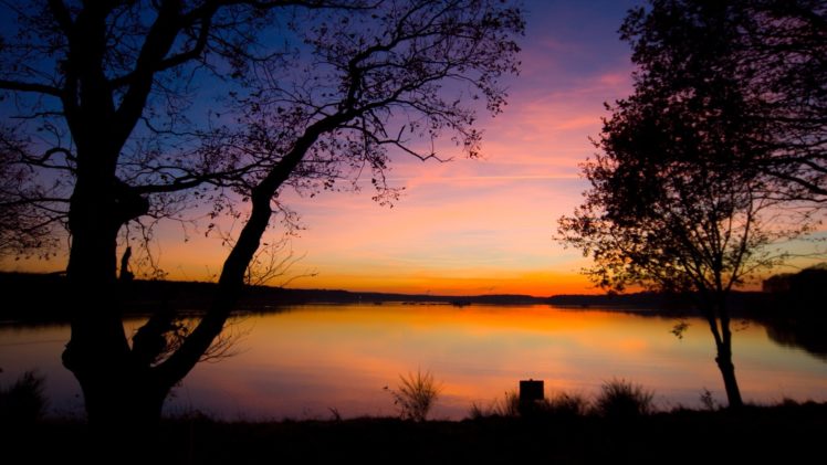 sunset, Landscapes, Trees HD Wallpaper Desktop Background